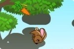 Bieg Zająca Fluffy'ego Bieg Zająca Fluffy'ego