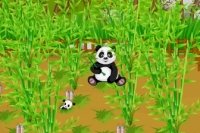 Farma pandy Farma pandy
