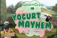 Jogurt Baranka Shauna Jogurt Baranka Shauna