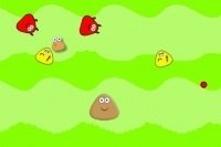 Pomóż Małym Pou Pomóż Małym Pou