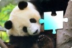 Puzzle z Panda Puzzle z Panda