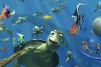 Szukaj i znajdź Dory Szukaj i znajdź Dory